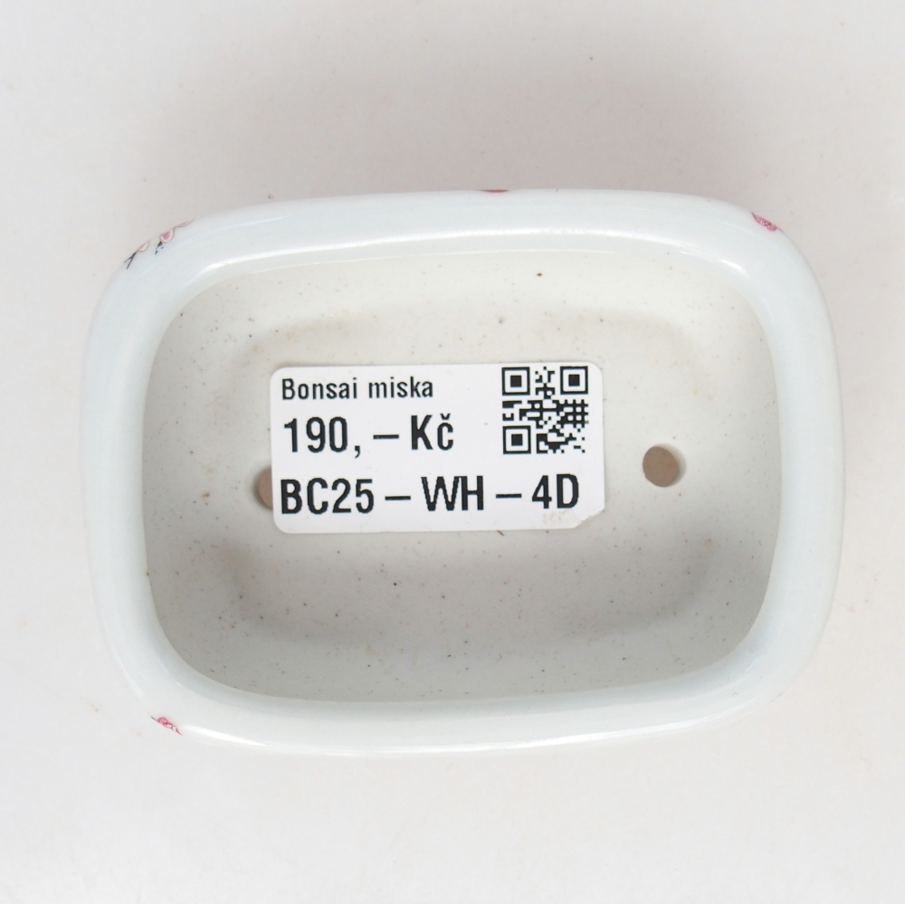 Mini bonsai 8 x 6 x 3 cm, bianco