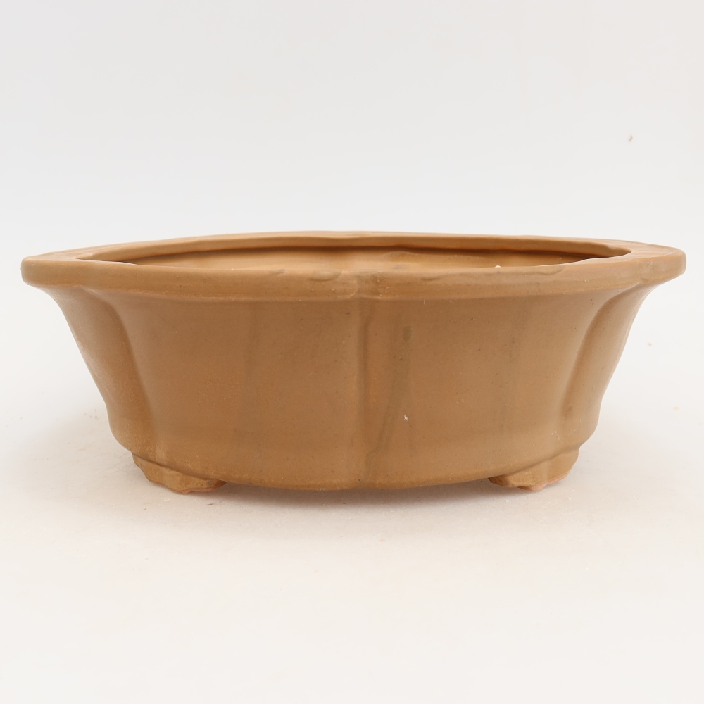Ciotola bonsai in ceramica 26 x 26 x 8 cm, marrone