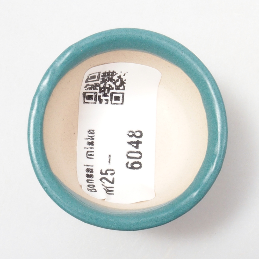 Ciotola bonsai in ceramica 6,5 x 5,5 x 4 cm, colore blu