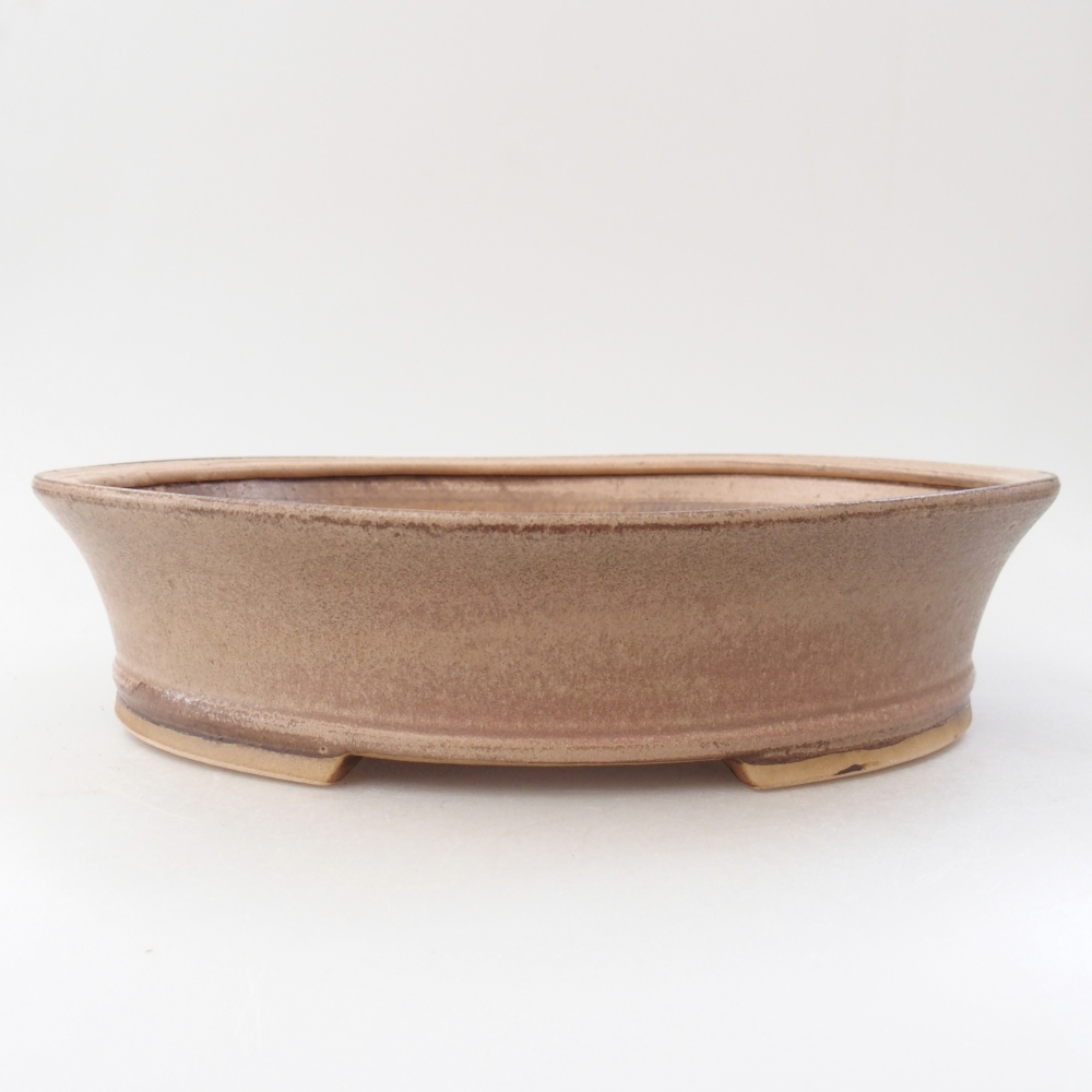 Ciotola per bonsai in ceramica 27 x 24 x 6 cm, colore beige