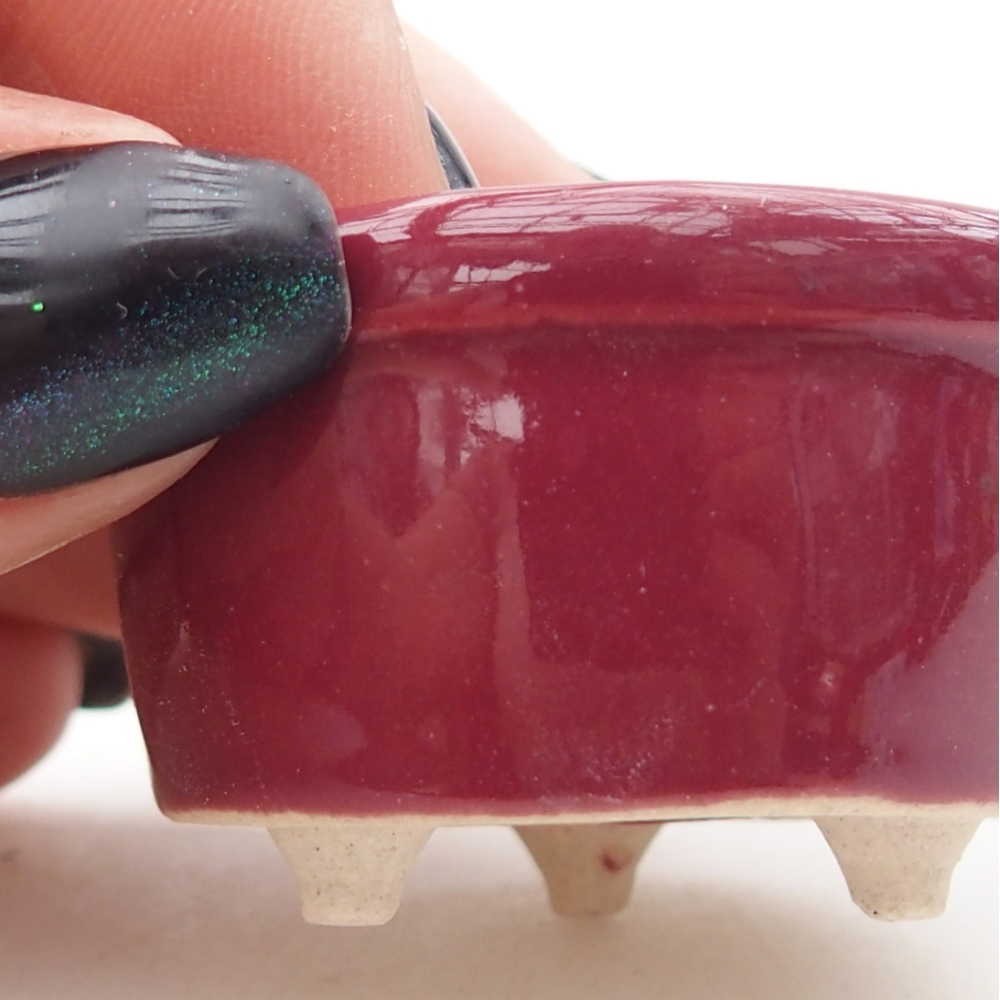 Ciotola per mini bonsai 4 x 4 x 2 cm, bordeaux