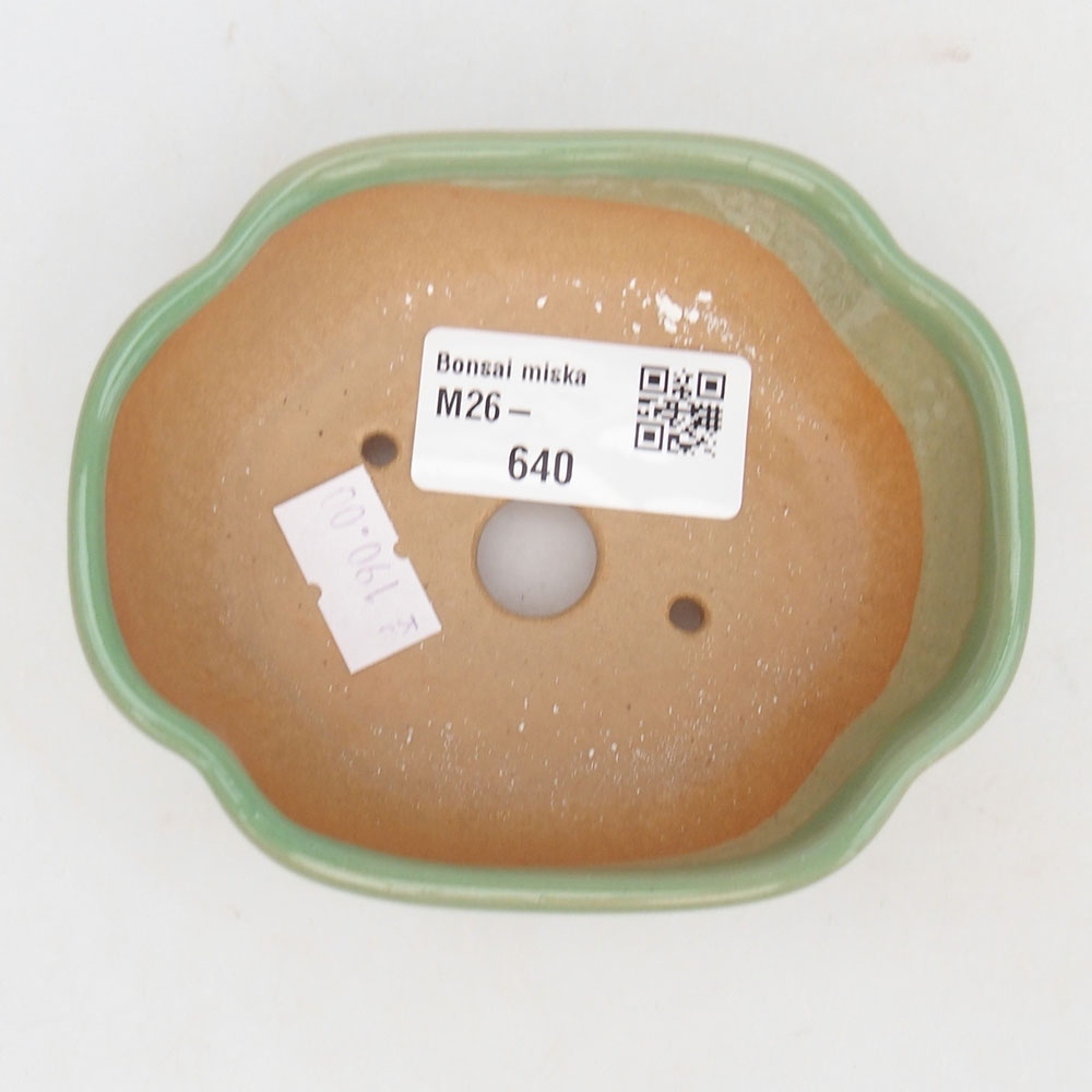 Ciotola per bonsai in ceramica 125 x 10 x 3 cm, marrone