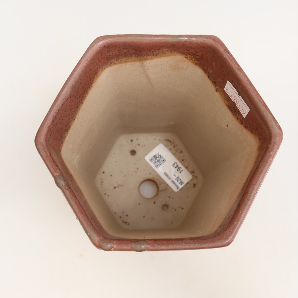 Vaso da bonsai in ceramica 13 x 12 x 17 cm, colore rosa