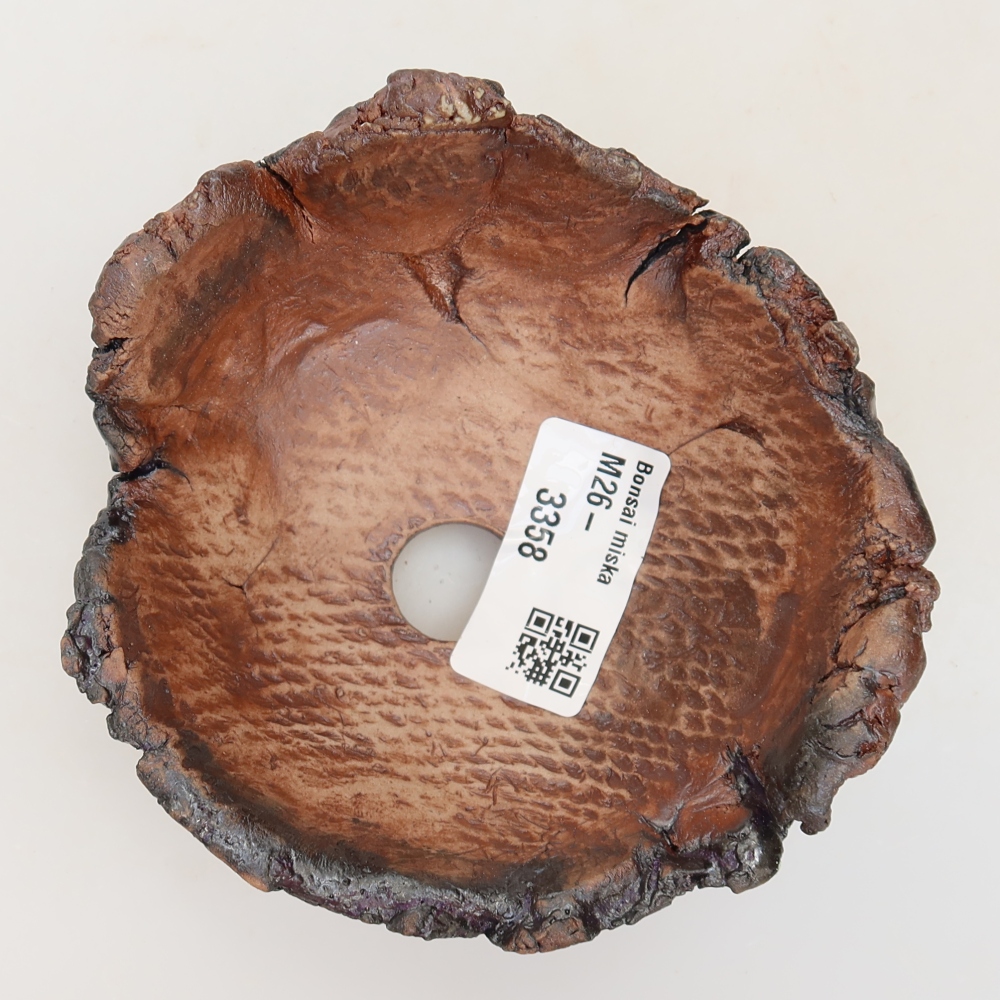 Guscio in ceramica  10,5 x 10,5 x 6 cm, colore marrone