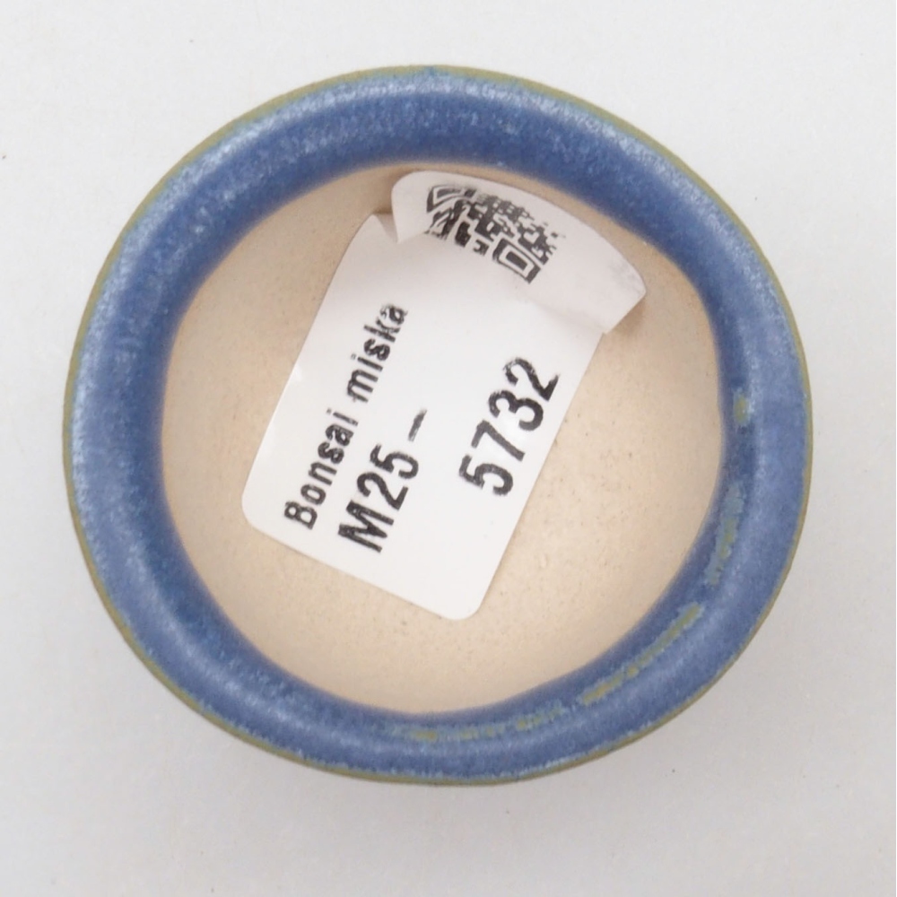 Mini bonsai 4,5 x 4,5 x 3 cm, colore blu