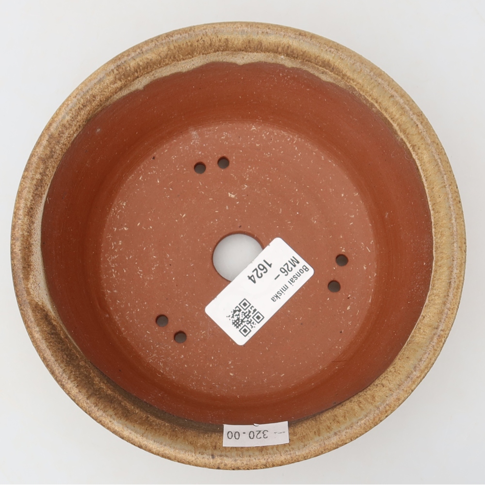 Ciotola per bonsai in ceramica 15,5 x 15,5 x 5 cm, marrone