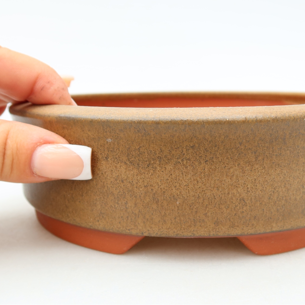 Ciotola per bonsai in ceramica 16 x 16 x 5 cm, marrone