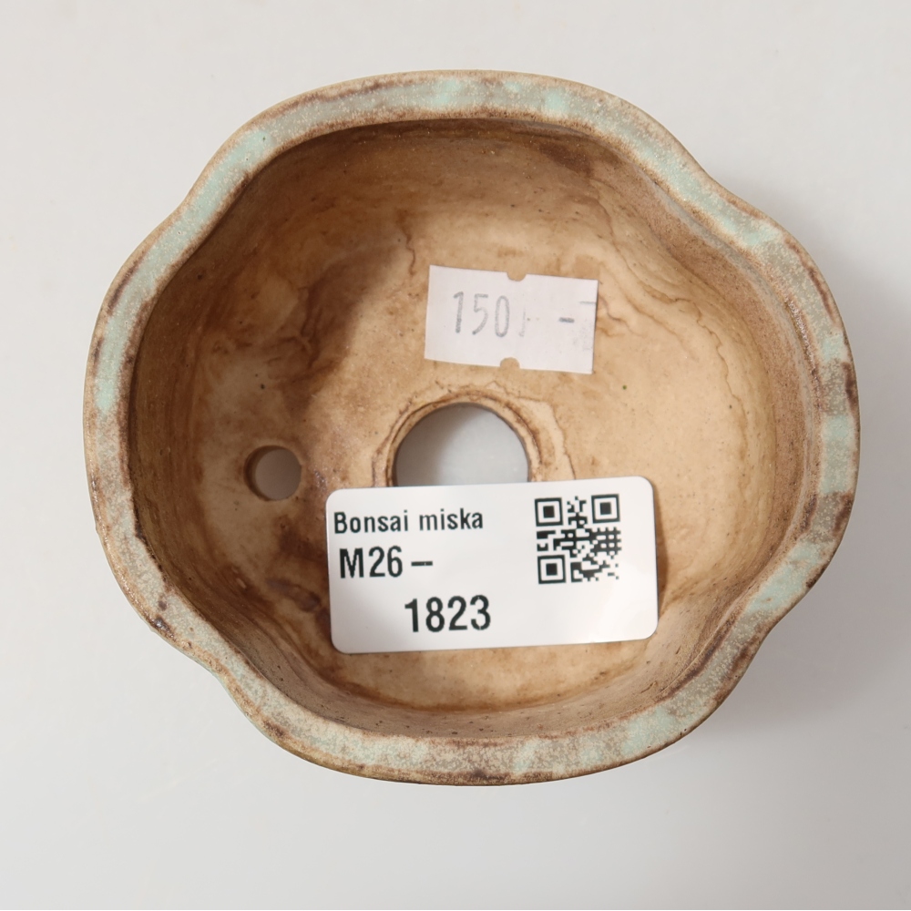 Ciotola bonsai in ceramica 8 x 7,5 x 3,5 cm, verde