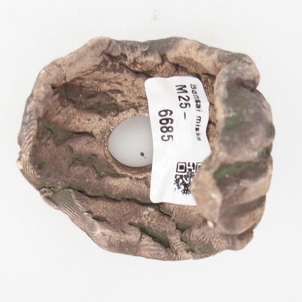 Conchiglia in ceramica 6,5 x 6,5 x 8 cm , colore verde