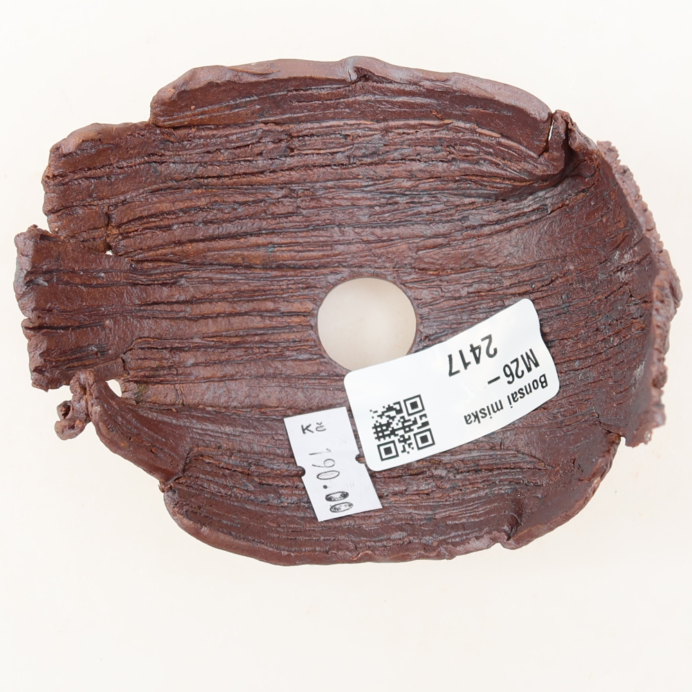 Guscio in ceramica  9,5 x 8,5 x 9 cm, colore marrone