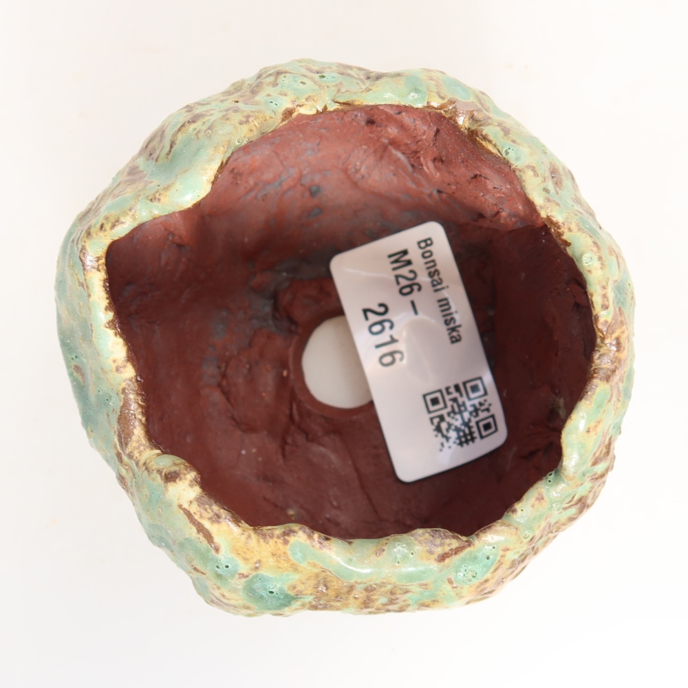 Guscio in ceramica  7,5 x 7 x 6,5 cm, colore verde