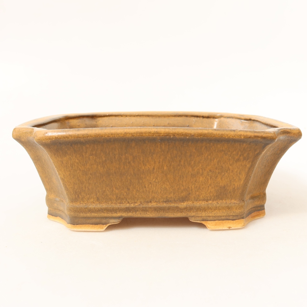 Ciotola per bonsai in ceramica 18 x 15 x 6 cm, marrone