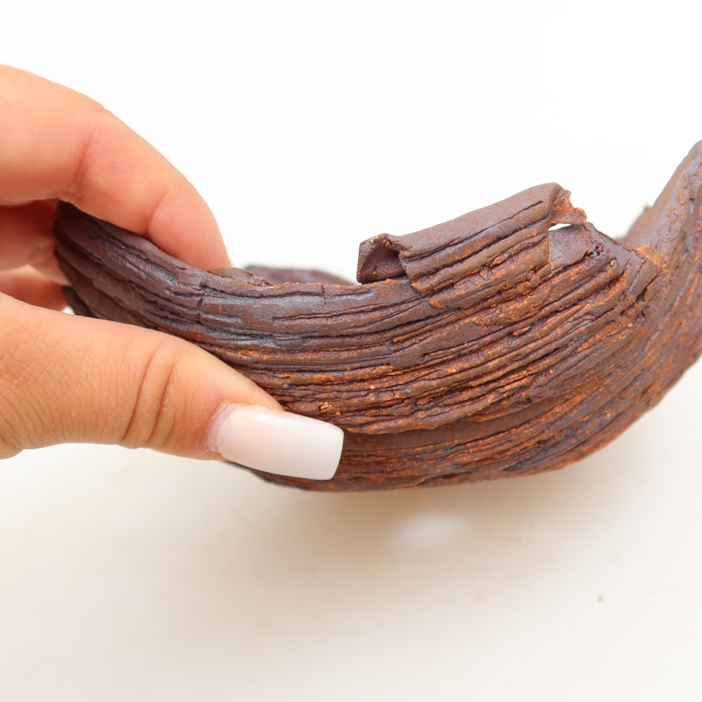 Conchiglia in ceramica  15 x 13 x 6,5 cm, colore marrone