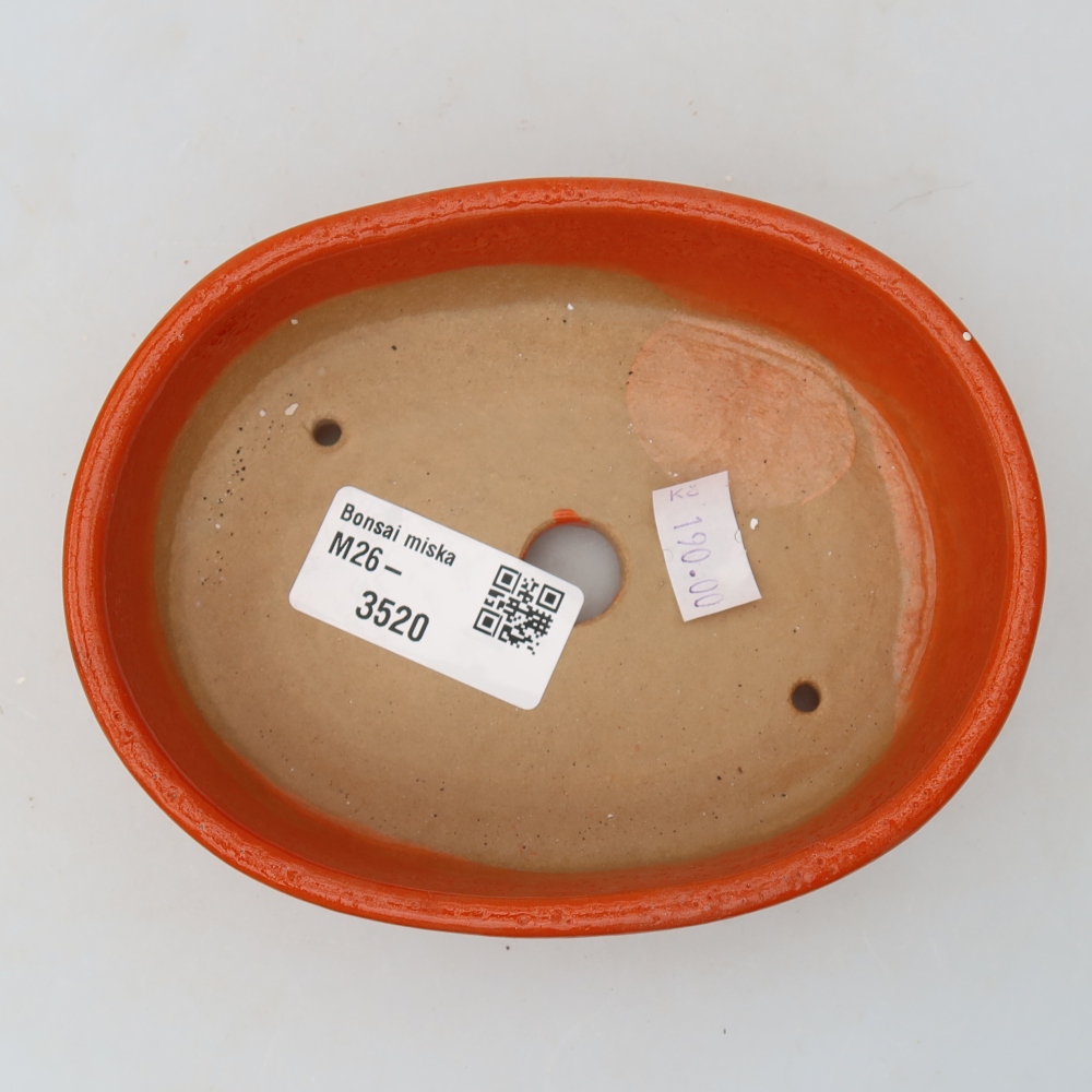 Vaso da bonsai in ceramica 13 x 10 x 3,5 cm, colore arancione