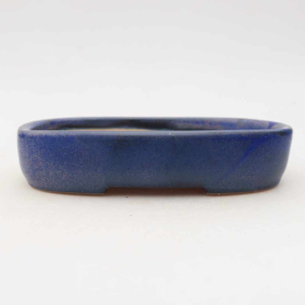 Ciotola bonsai in ceramica 16 x 11 x 3,5 cm, colore blu