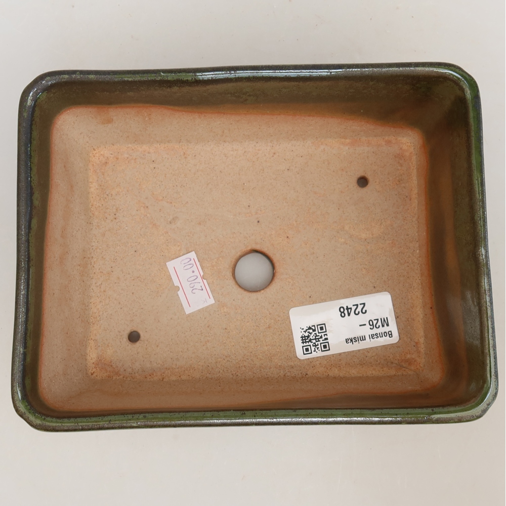 Ciotola per bonsai in ceramica 16 x 12 x 6 cm, verde