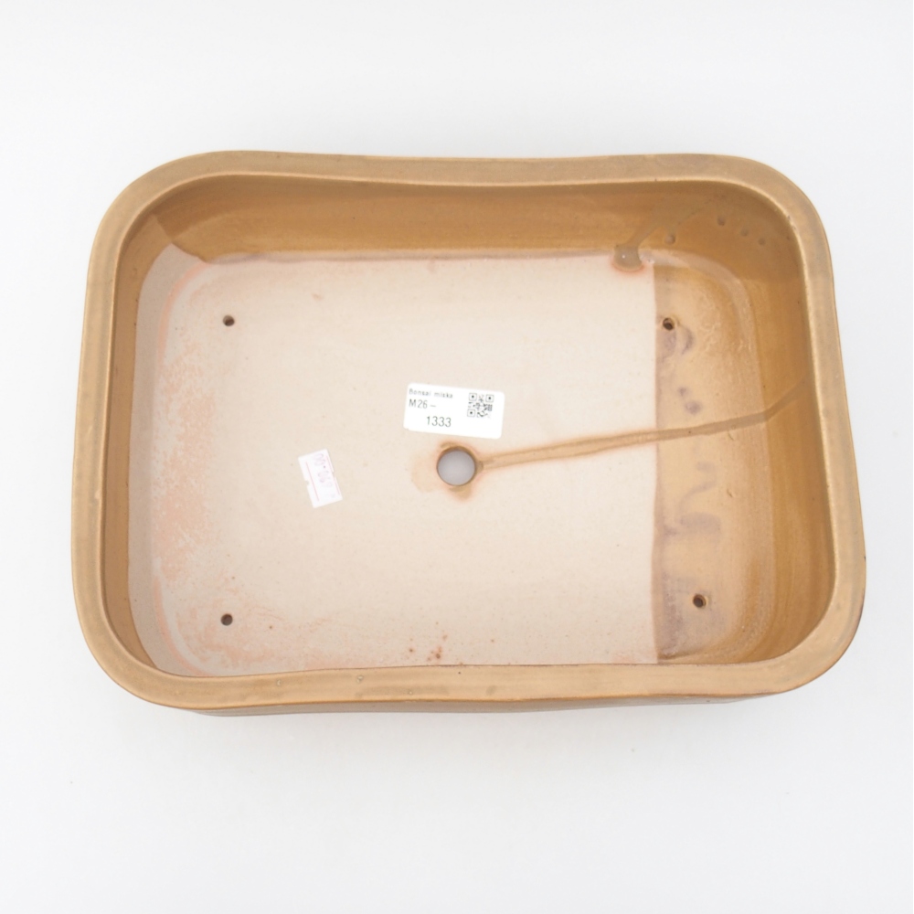 Ciotola bonsai in ceramica 27,5 x 20,5 x 7,5 cm, colore beige