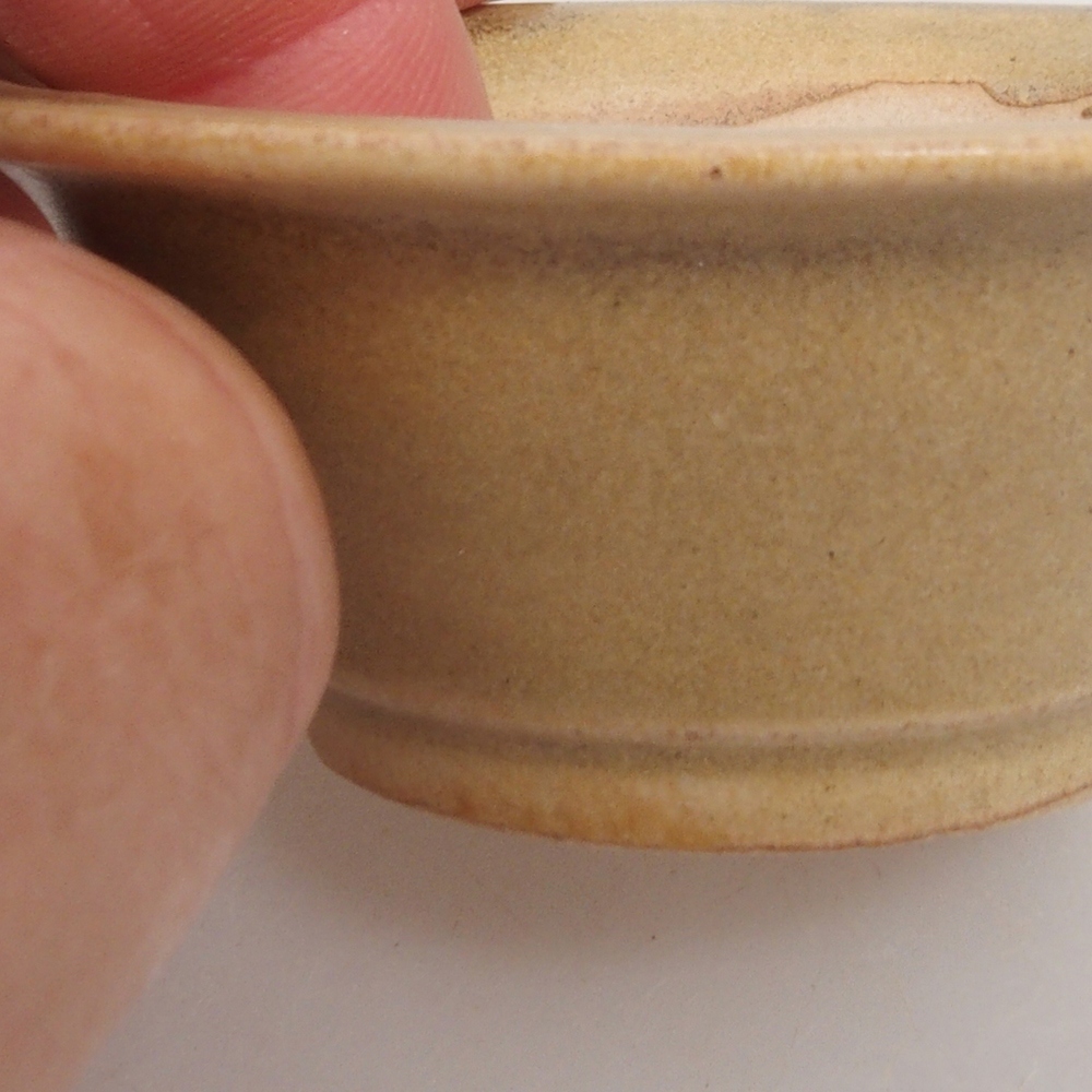 Mini bonsai 7 x 7 x 2,5 cm, marrone