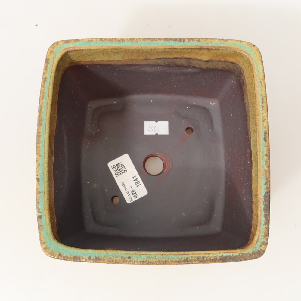 Ciotola bonsai in ceramica 16 x 16 x 10 cm, verde
