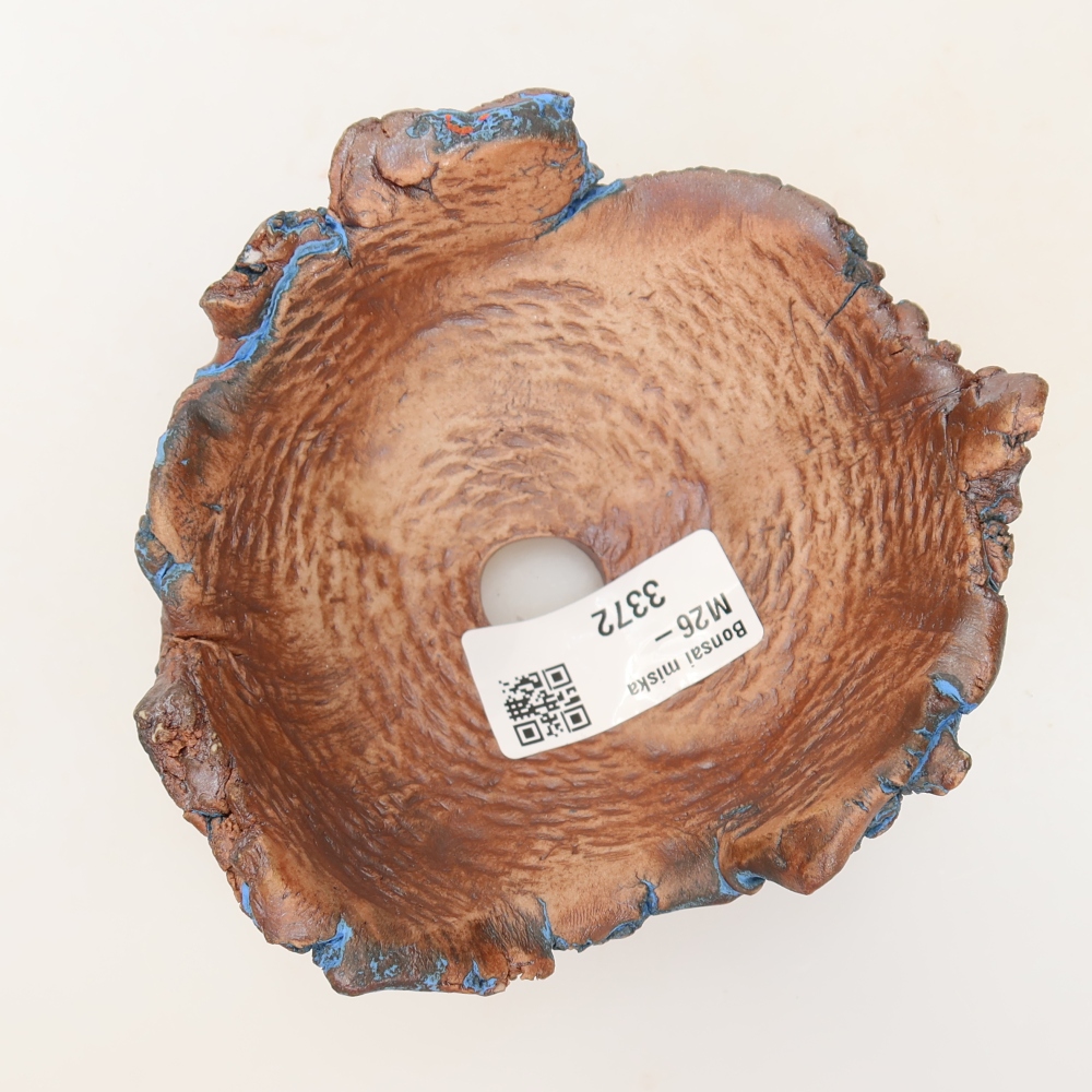 Guscio in ceramica 11 x 10,5 x 5,5 cm, colore blu