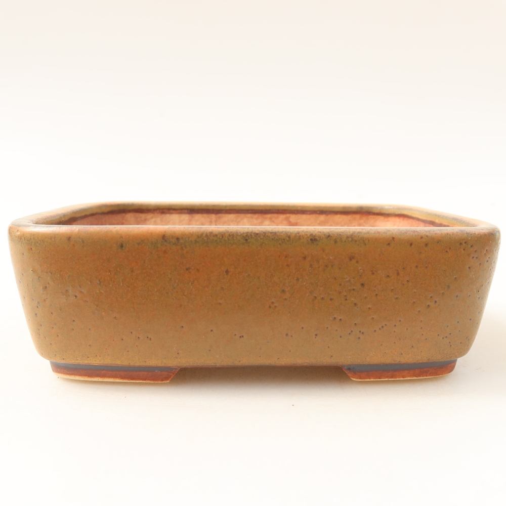 Ciotola per bonsai in ceramica 14 x 11,5 x 4,5 cm, marrone