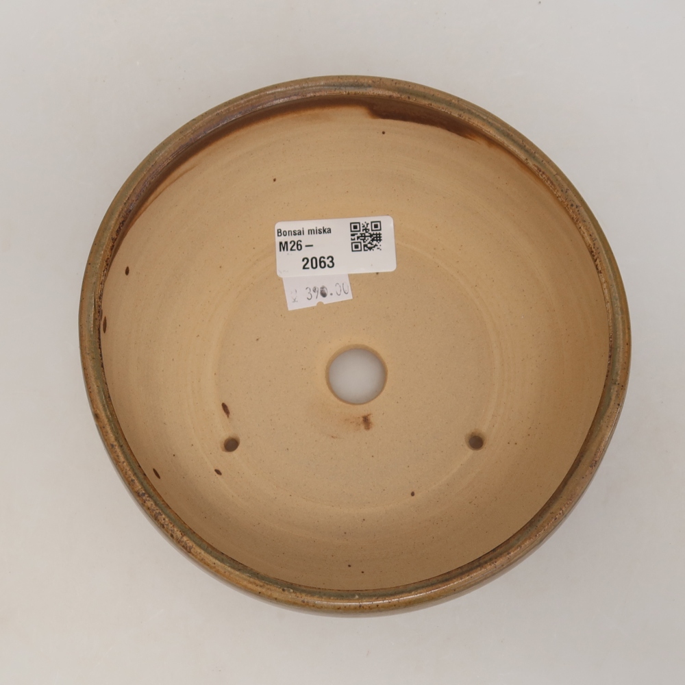 Vaso da bonsai in ceramica 16 x 16 x 6 cm, colore marrone