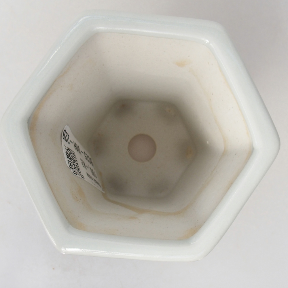 Ciotola per bonsai in ceramica 10 x 9 x 9 cm, colore bianco