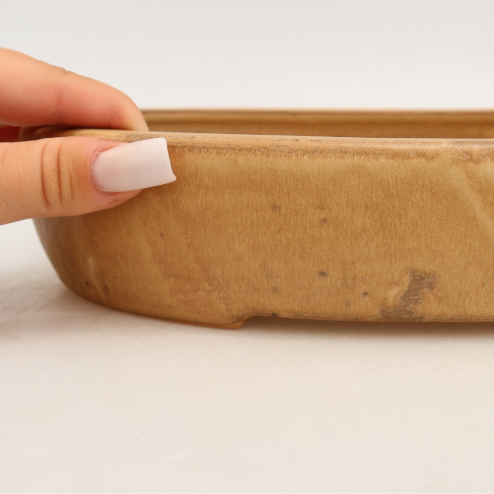 Ciotola bonsai in ceramica 27 x 21 x 5,5 cm, colore beige