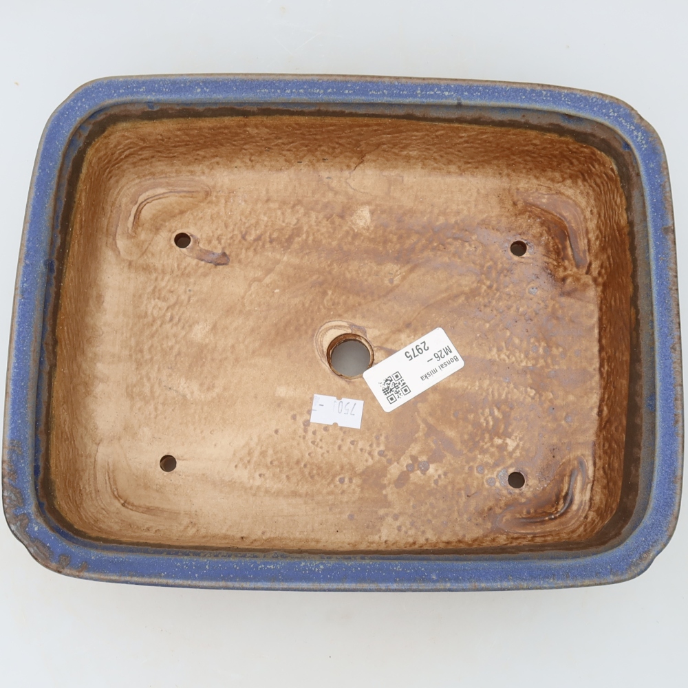 Vaso da bonsai in ceramica 25 x 20,5 x 7,5 cm, colore blu