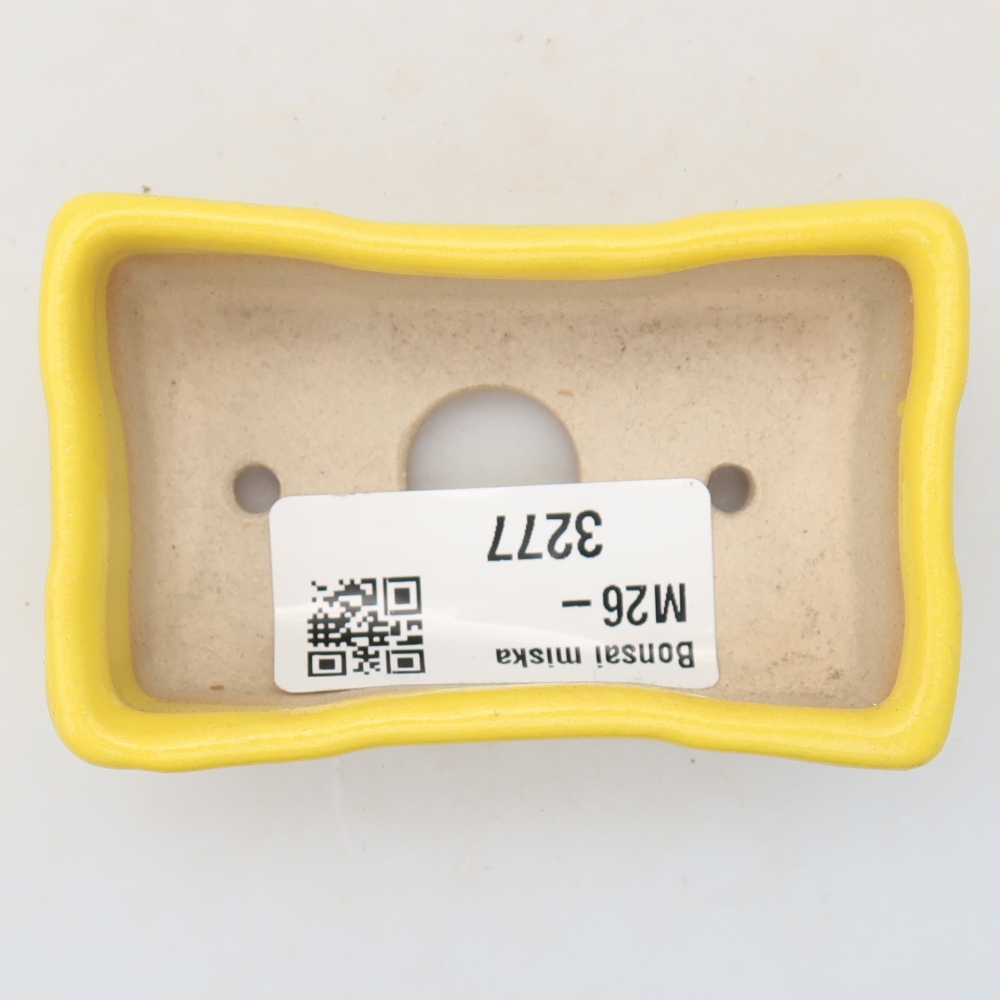 Vaso da bonsai in ceramica 7,5 x 4 x 2,5 cm, colore giallo