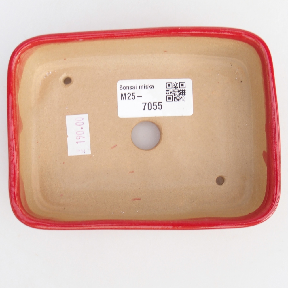 Ciotola bonsai in ceramica 26 x 26 x 8 cm, colore rosso