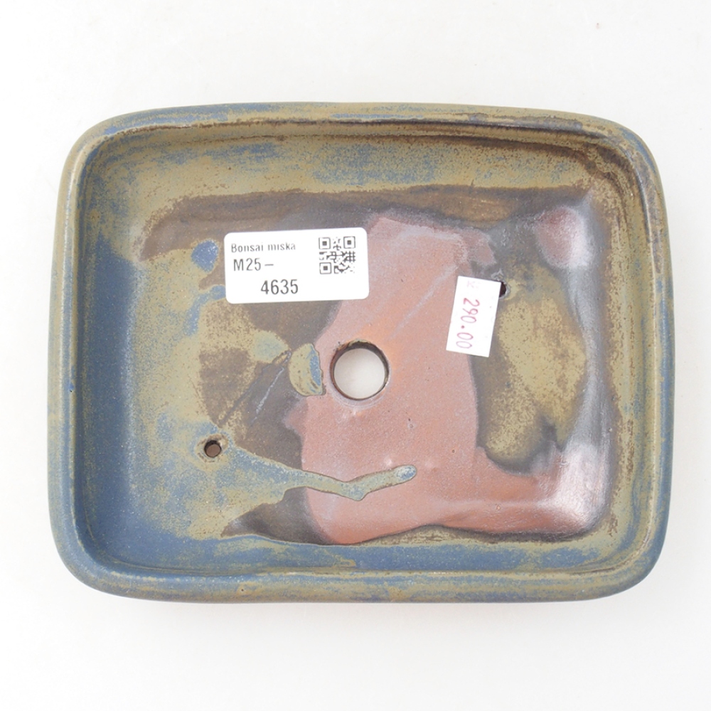 Ciotola bonsai in ceramica 17 x 13,5 x 3,5 cm, colore blu