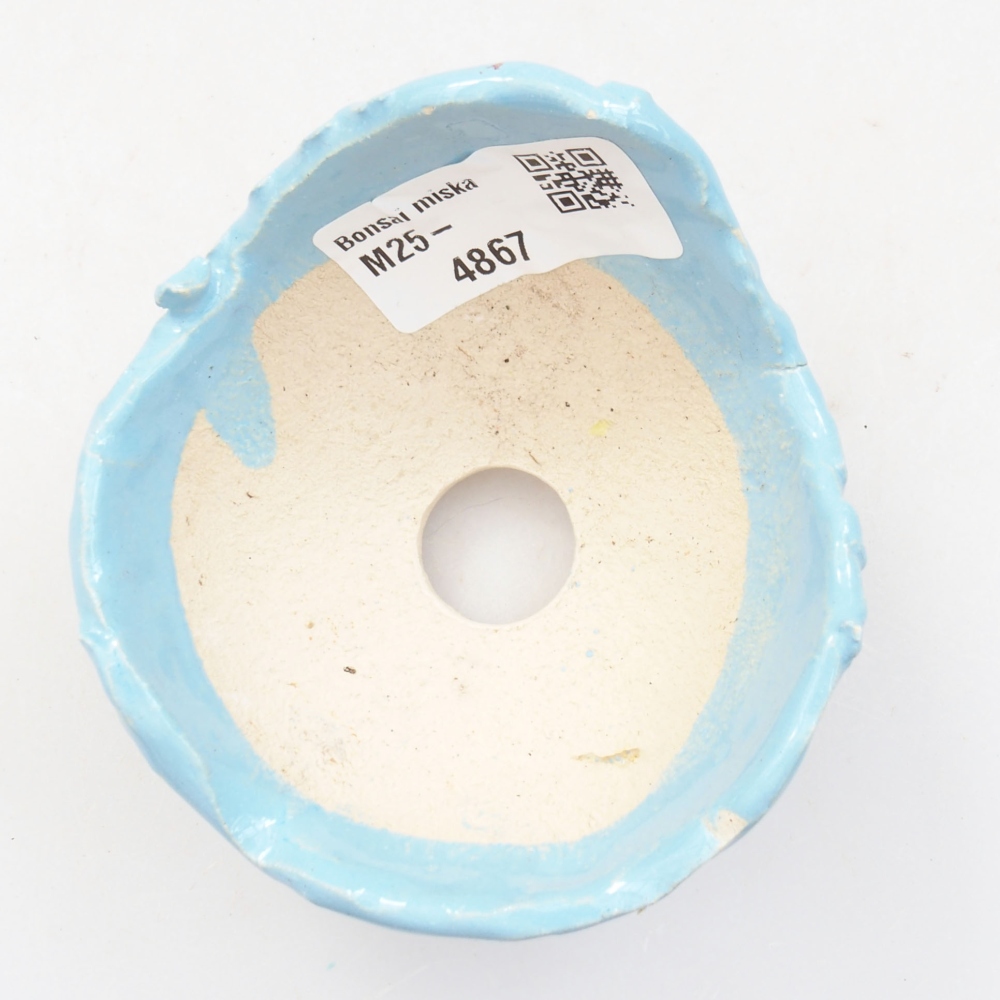 Conchiglia in ceramica 7,5 x 7,5x 5 cm , colore blu