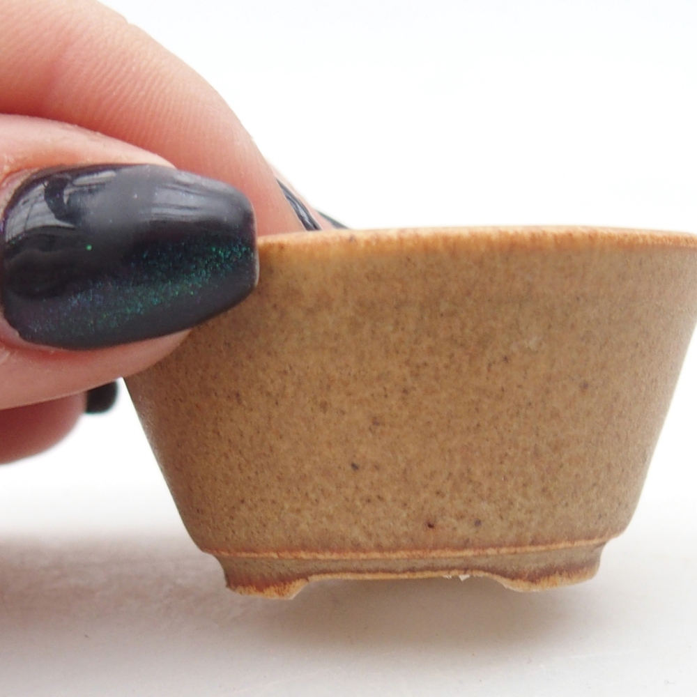 Mini bonsai 4,5 x 4,5 x 2,5 cm, marrone