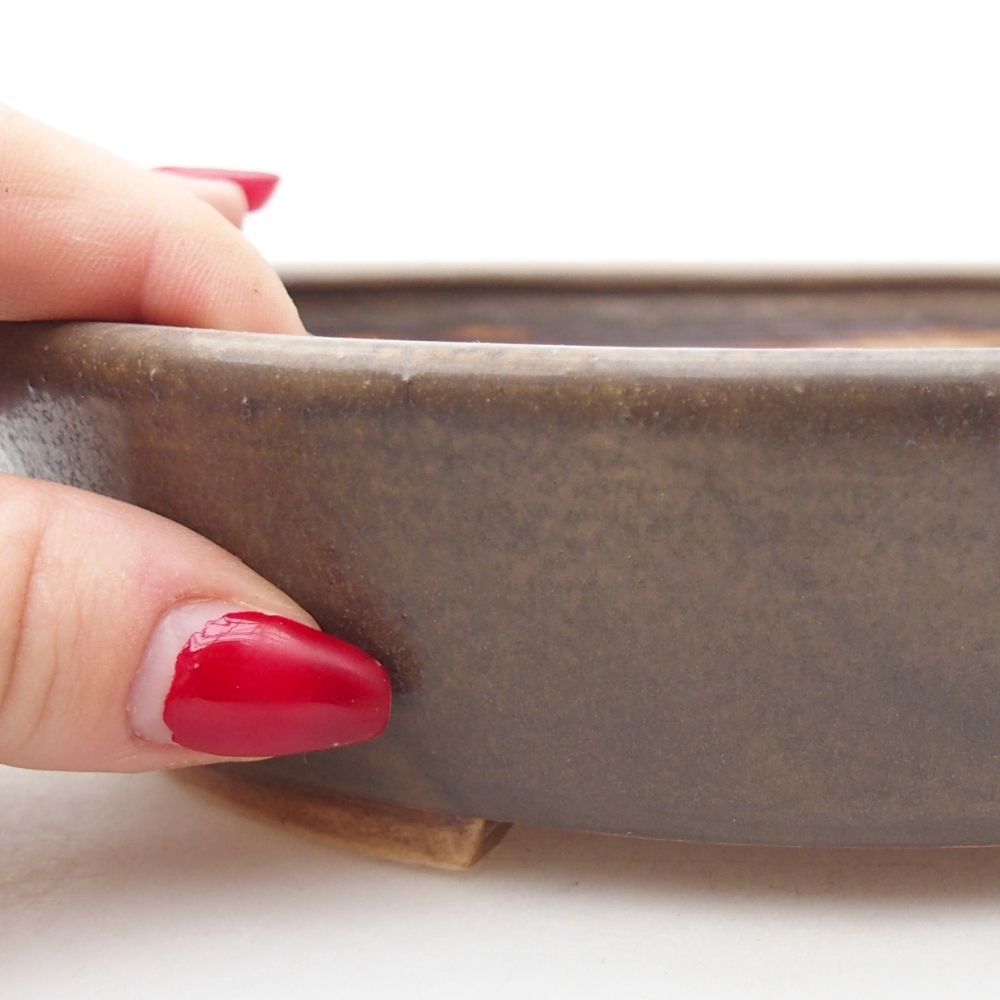 Ciotola per bonsai in ceramica 18,5 x 16,5 x 4,5 cm, marrone