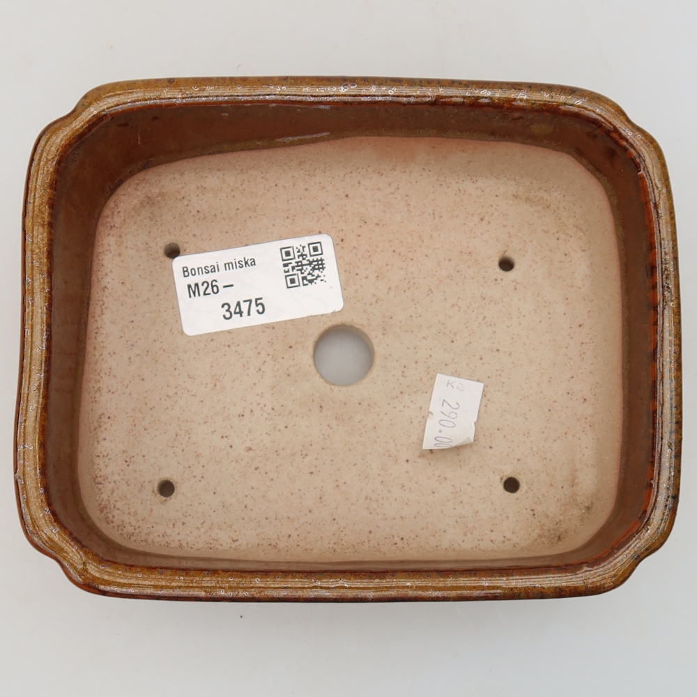 Ciotola per bonsai in ceramica 15 x 12,5 x 4,5 cm, marrone