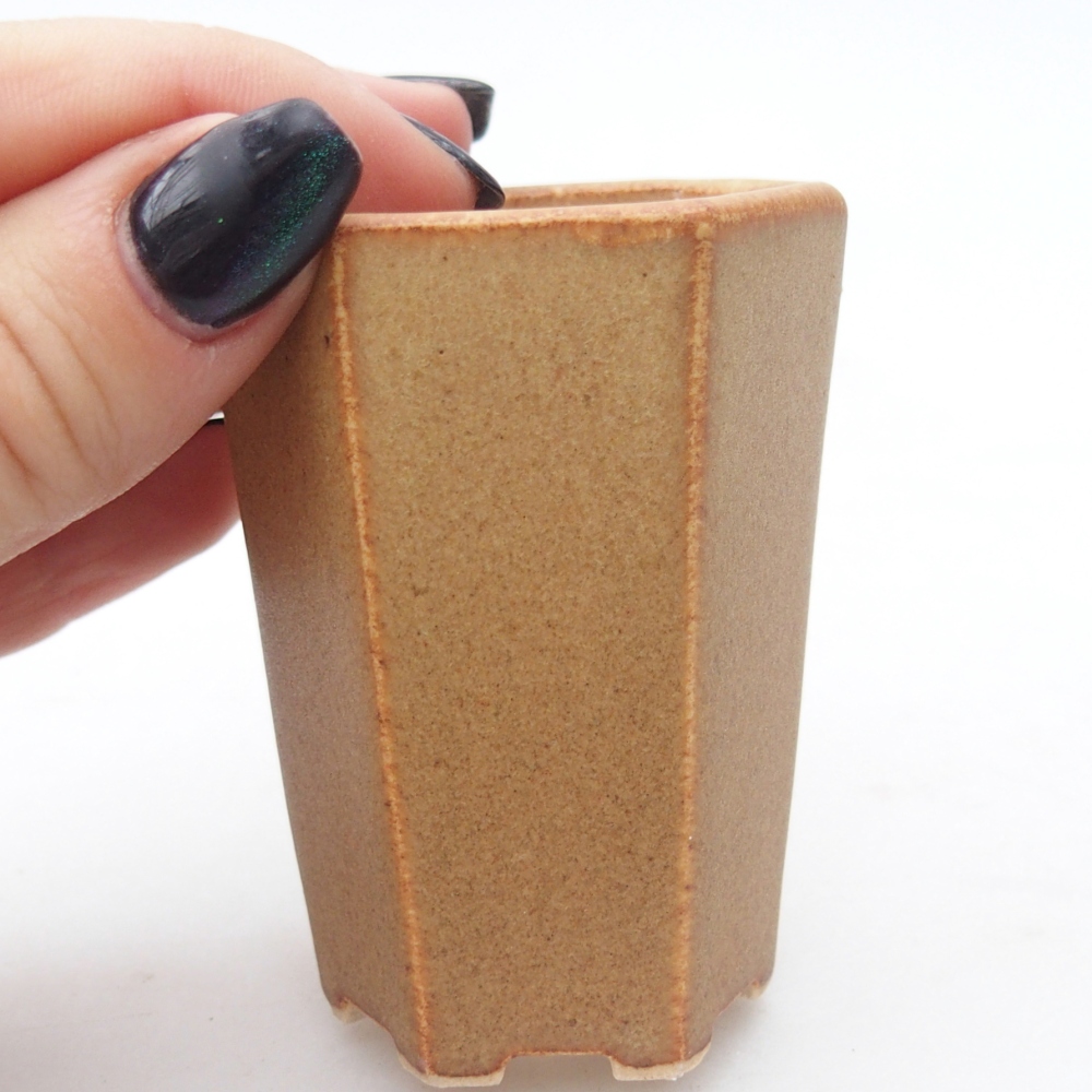 Ciotola per mini bonsai 5 x 4,5 x 6,5 cm, marrone