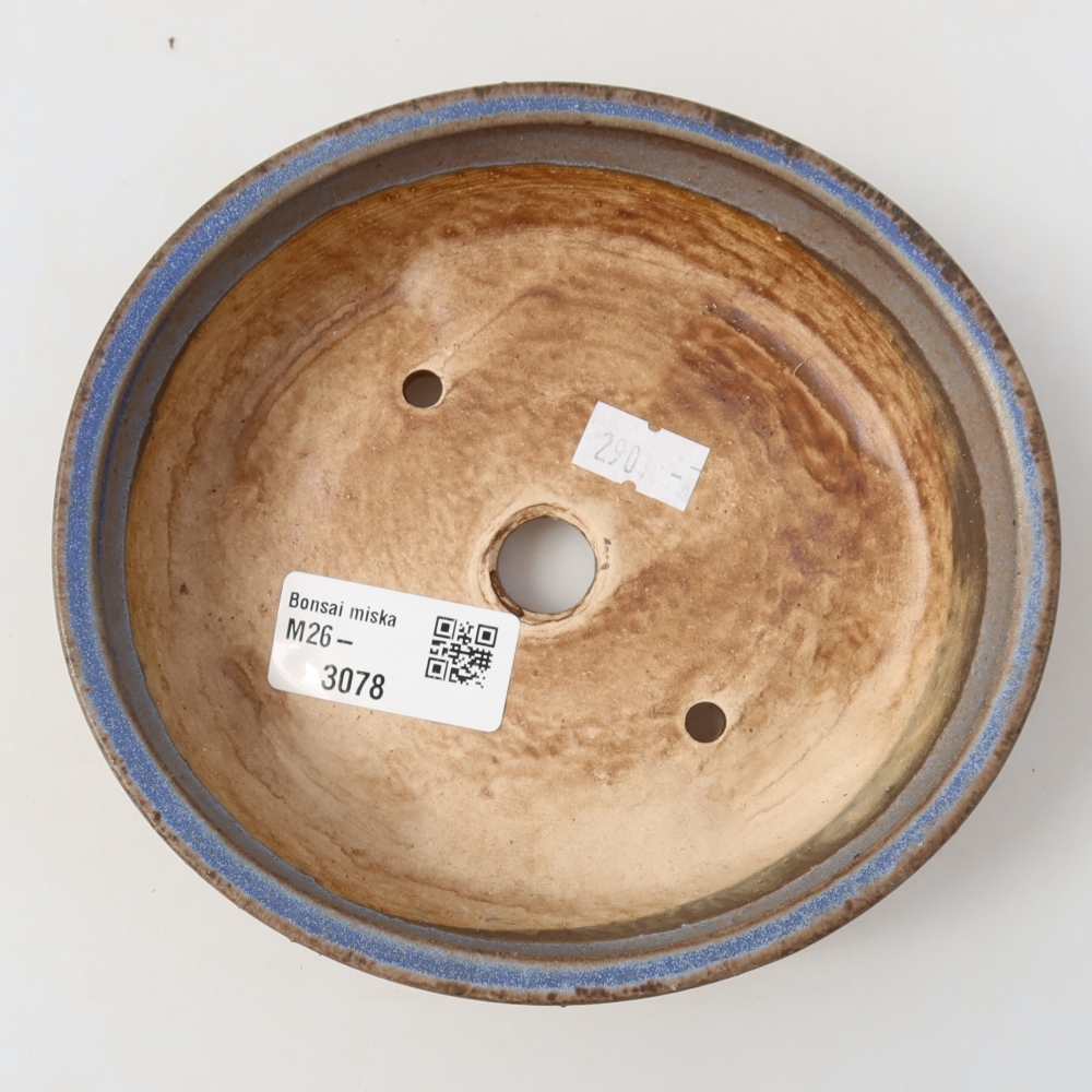 Vaso da bonsai in ceramica 15 x 14 x 4 cm, colore blu