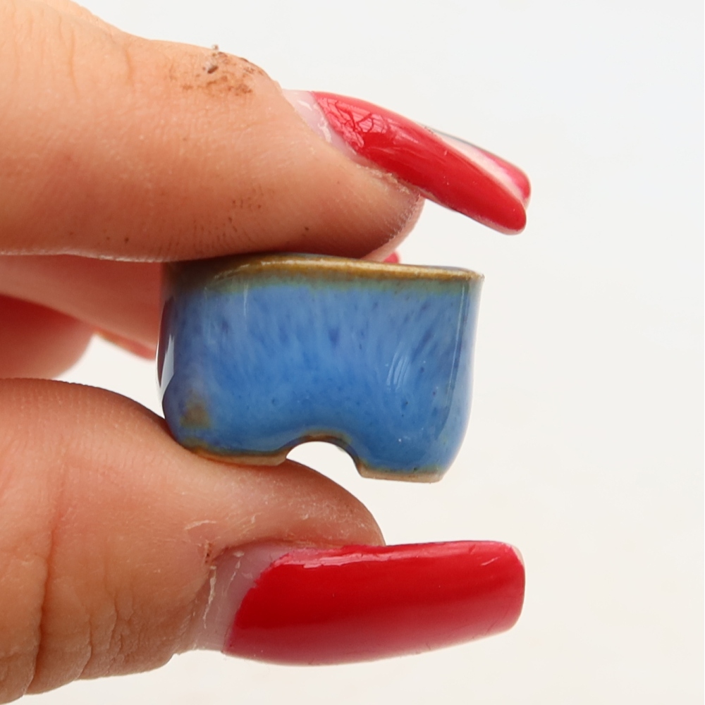 Vaso da bonsai in ceramica 2 x 2 x 1,5 cm, colore blu