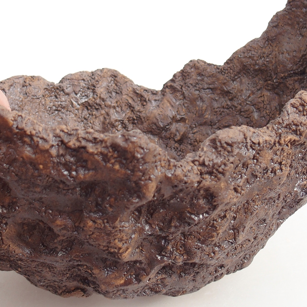 Conchiglia in ceramica 20 x 16 x 17 cm , colore marrone