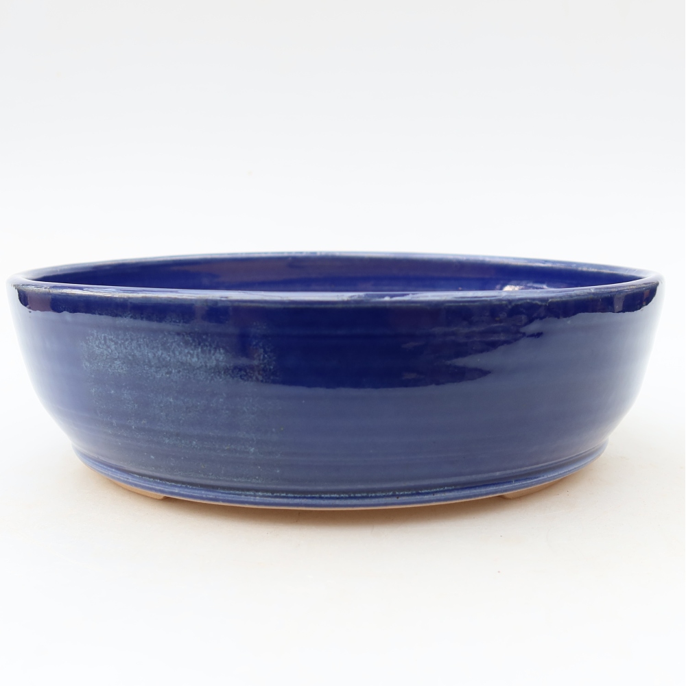 Ciotola bonsai in ceramica 20 x 20 x 6 cm, colore blu