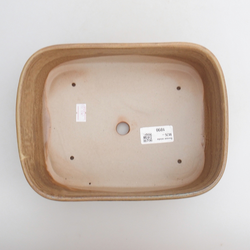 Ciotola per bonsai in ceramica 23 x 17 x 7,5 cm, marrone
