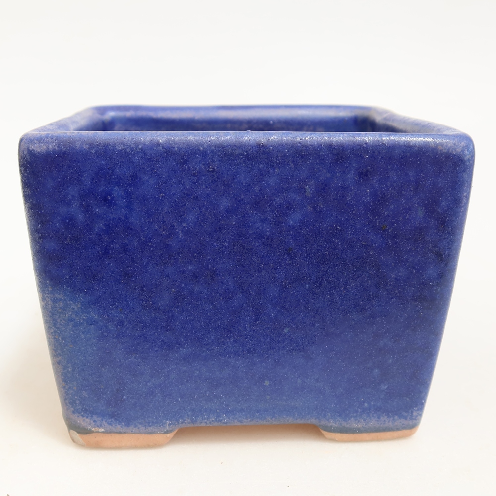 Vaso da bonsai in ceramica 11 x 11 x 8,5 cm, colore blu