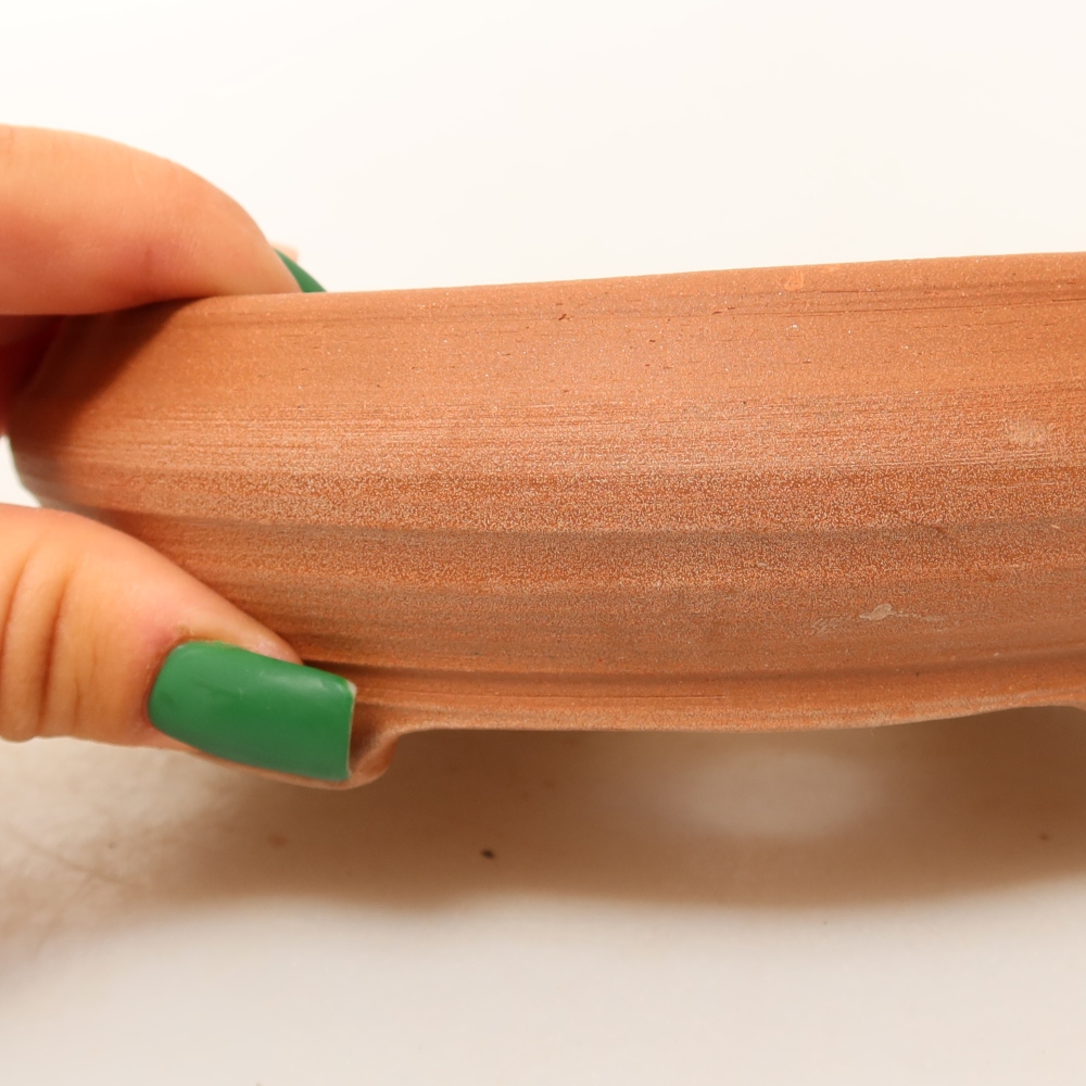 Conchiglia in ceramica  13 x 10,5 x 5,5 cm, colore grezzo