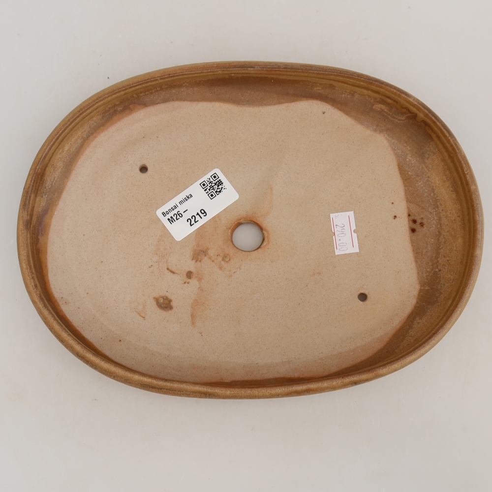 Ciotola per bonsai in ceramica 22,5 x 16,5 x 3 cm, colore beige