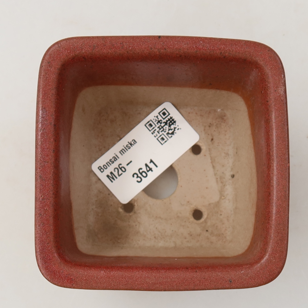 Ciotola bonsai in ceramica 8,5 x 8,5 x 5,5 cm, rosa