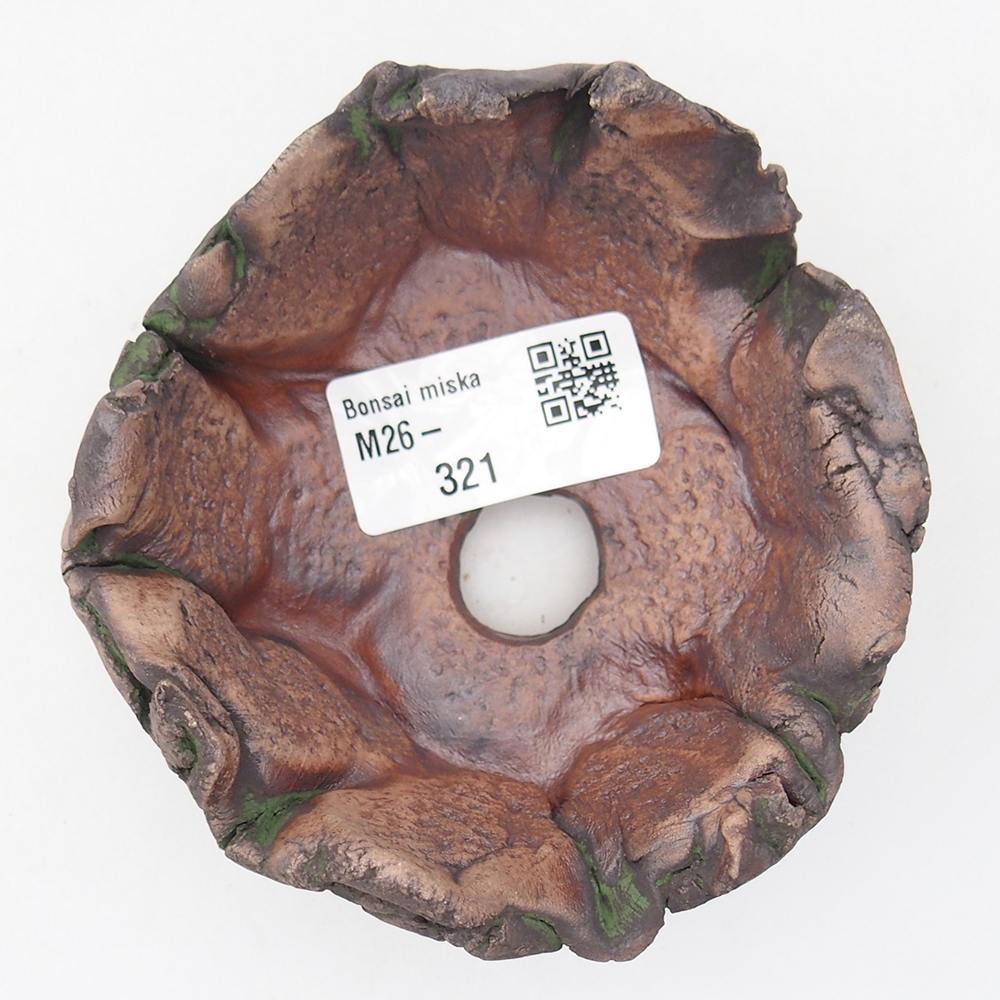 Conchiglia in ceramica 10 x 9 x 5,5 cm , colore verde