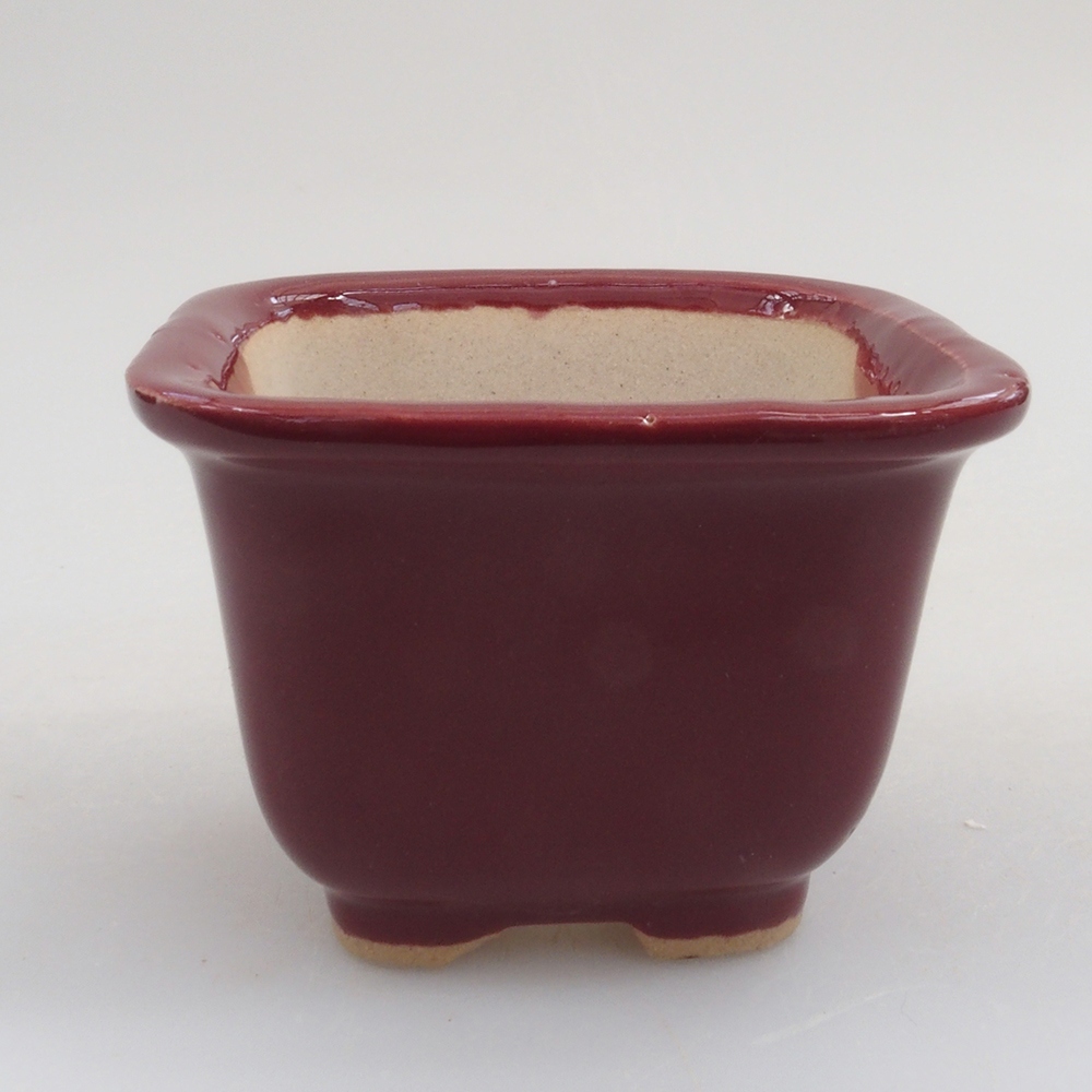 Ciotola per mini bonsai 6 x 6 x 4,5 cm, bordeaux