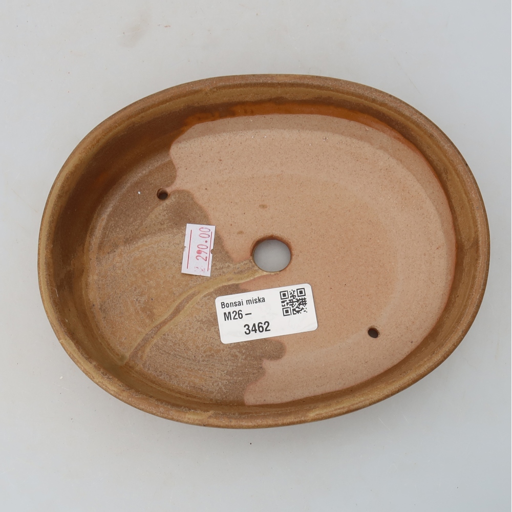 Ciotola bonsai in ceramica 17 x 14 x 4 cm, colore beige