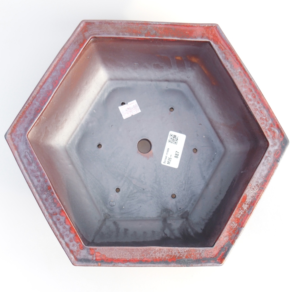 Ciotola per bonsai in ceramica 24,5 x 20 x 4 cm, colore rosso